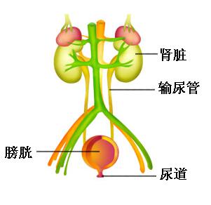 圖片2.jpg